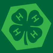 4-H STEM Club