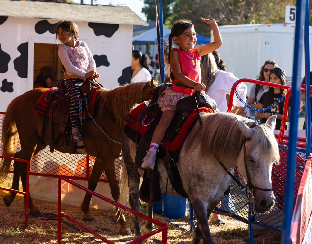 Petaluma Fair