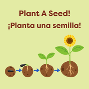 Plant A Seed At Andy’s Park