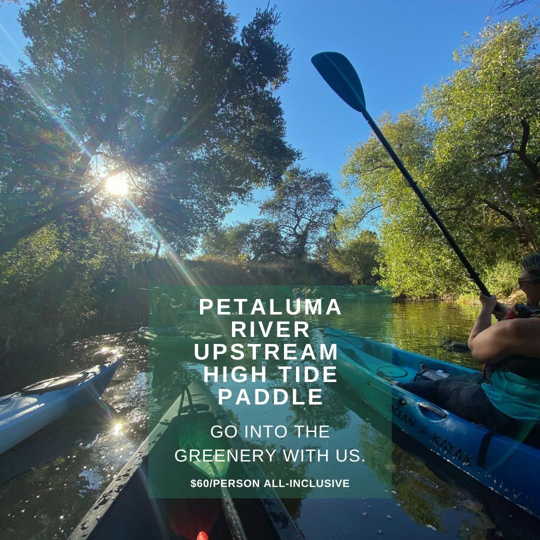 Petaluma River Upstream High Tide Paddle