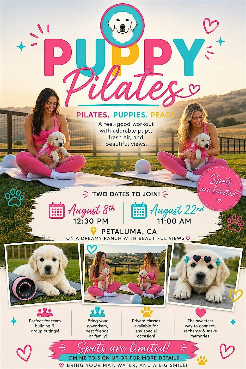 Puppy Pilates