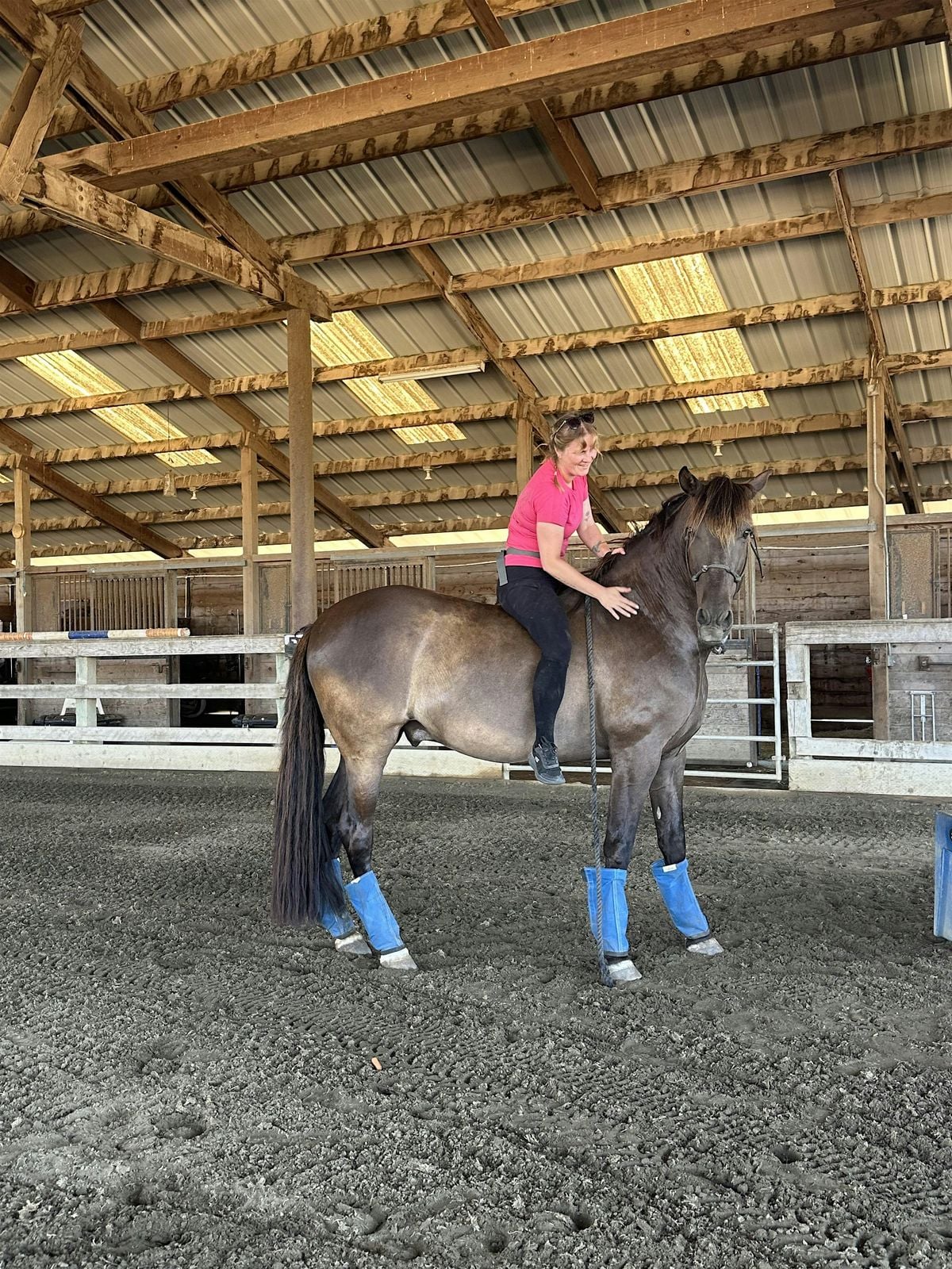 R+ Horse Training Series Part 2: Problem-Solving & Troubleshooting