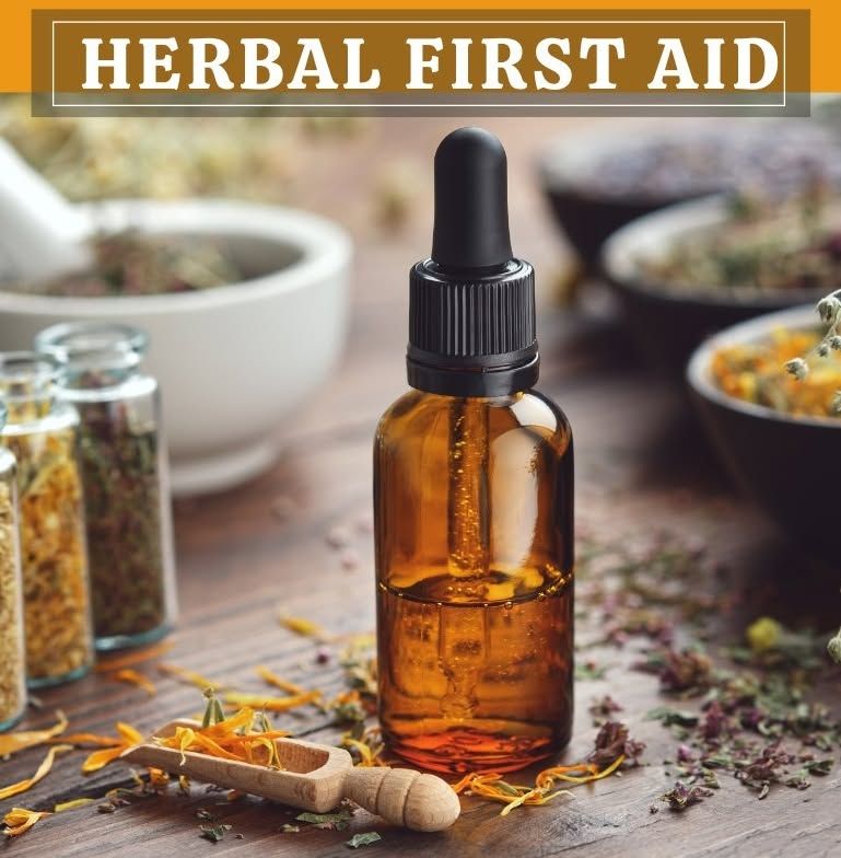 Herbal First Aid with Karly Loomis