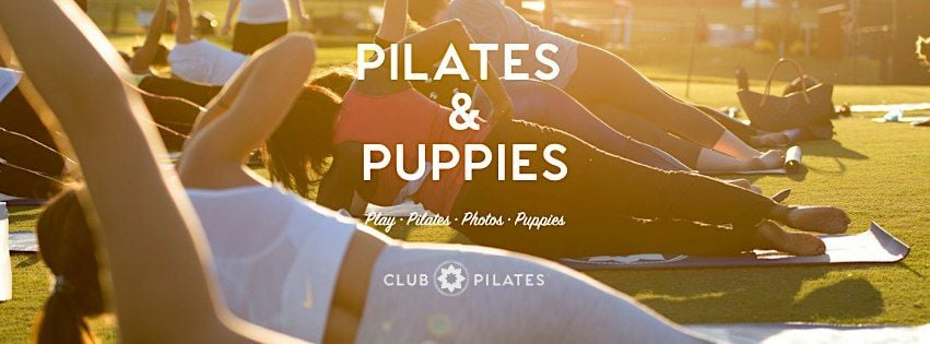 Puppies & Pilates