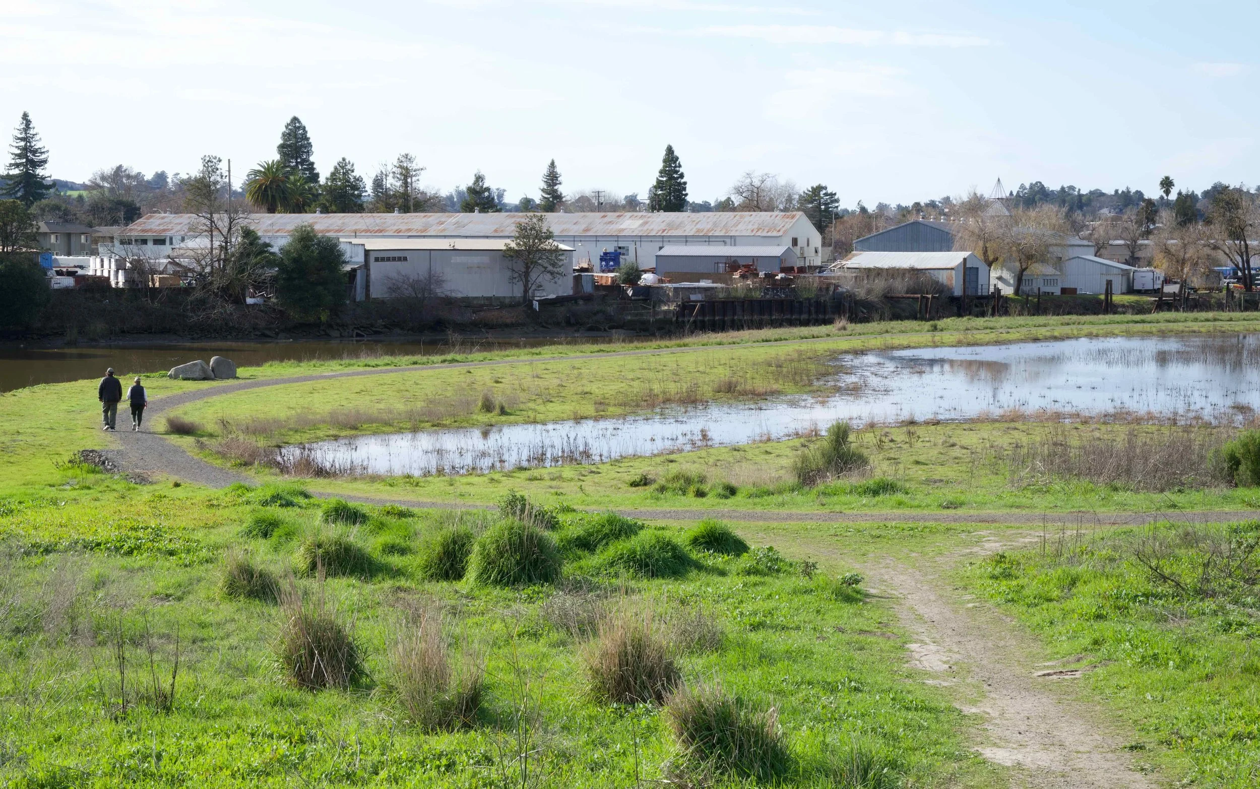 PETALUMA RIVER PARK’S BIRTHDAY!