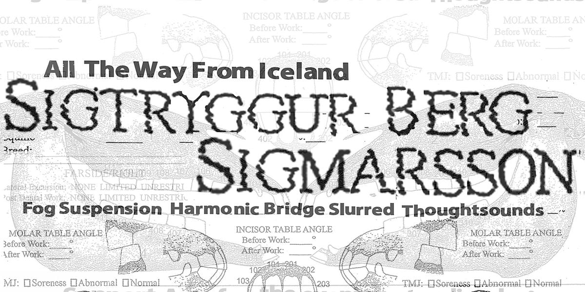 Sigtryggur Berg Sigmarsson, Tanuki Spider Cat, Fowl Figures