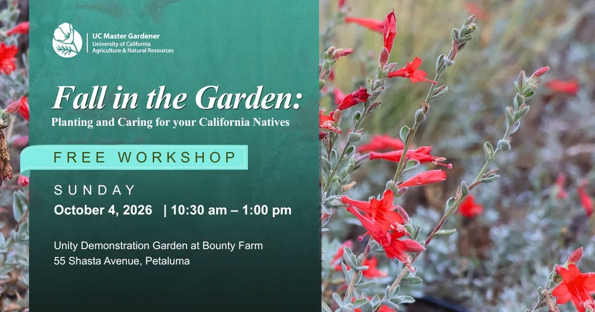 Fall in the Garden: Planting and Caring for your California Natives