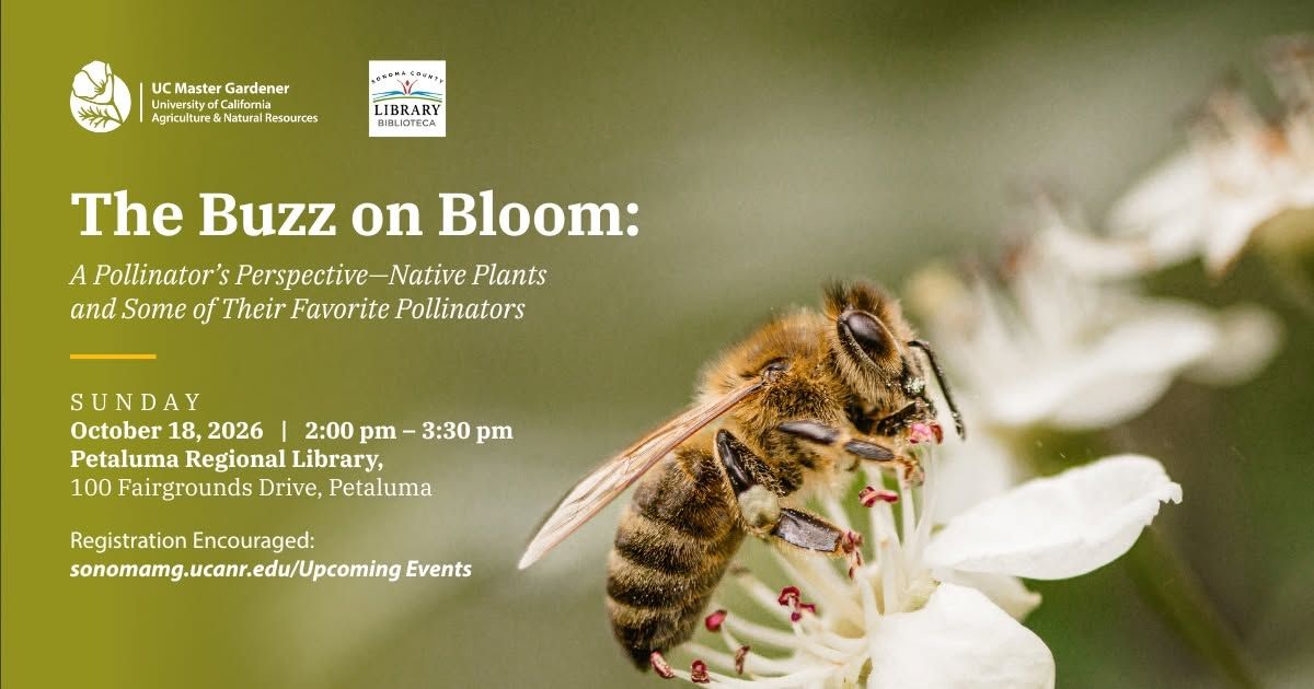 The Buzz on Bloom: A Pollinator’s Perspective — (Native Plants and Some of their Favorite Pollinator