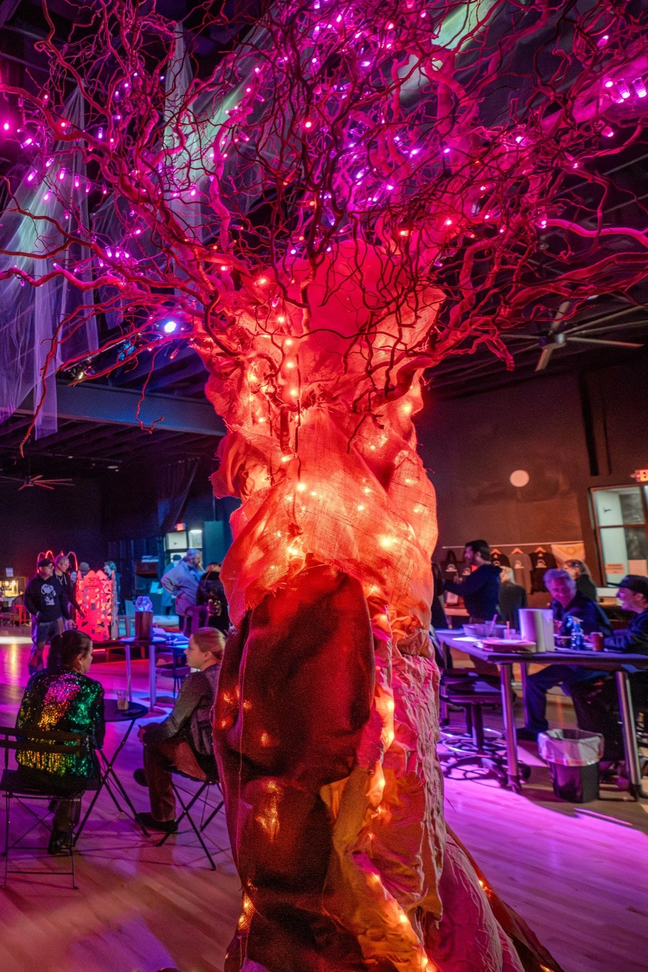 Wonderstump photo 2