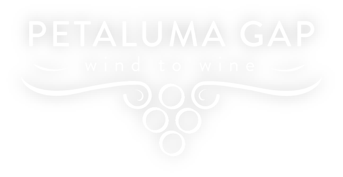 Petaluma Gap Wine Country Drive photo 4
