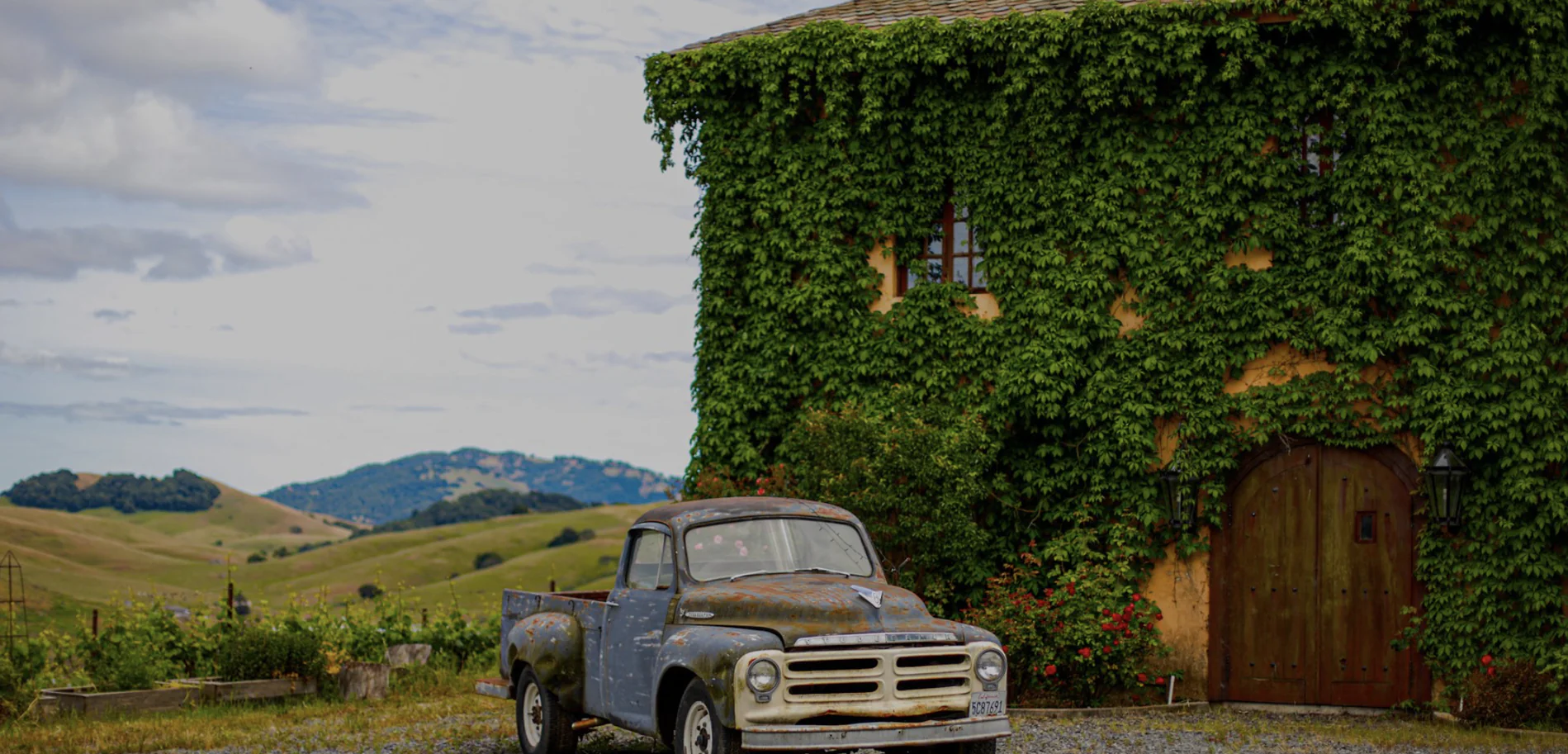 Azari Vineyards