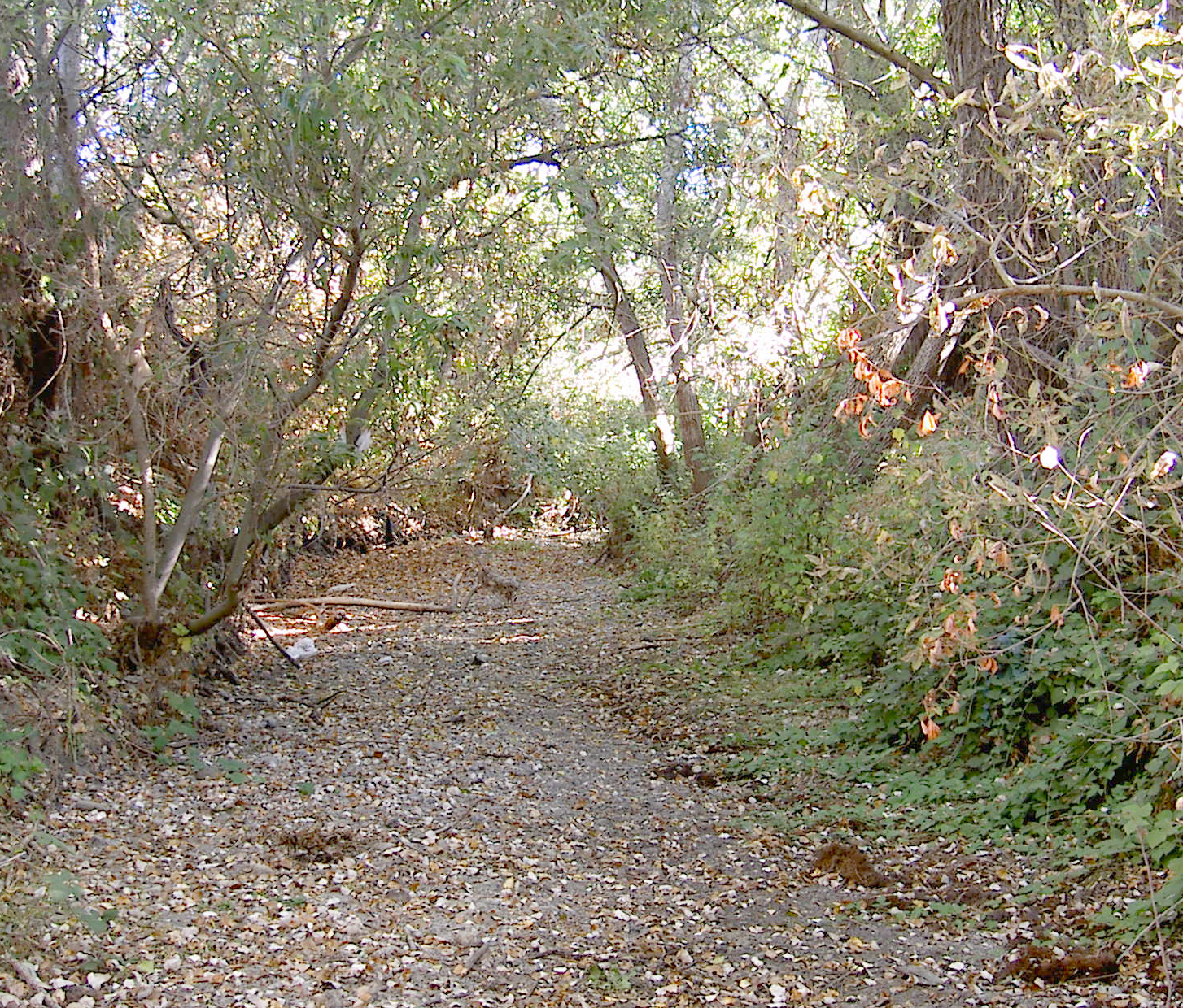 Urban Separator Open Space