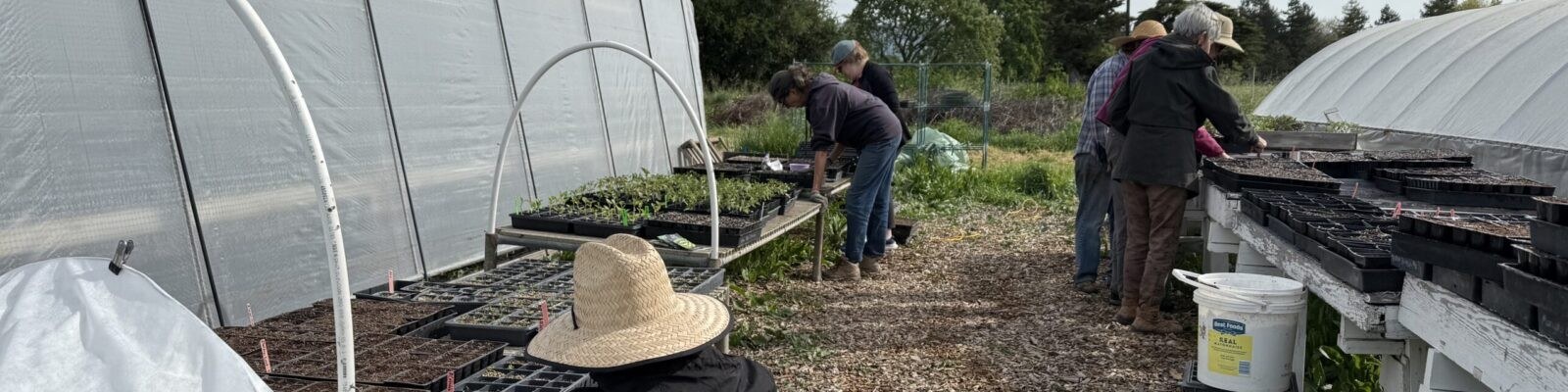 Petaluma Bounty Education Workshops