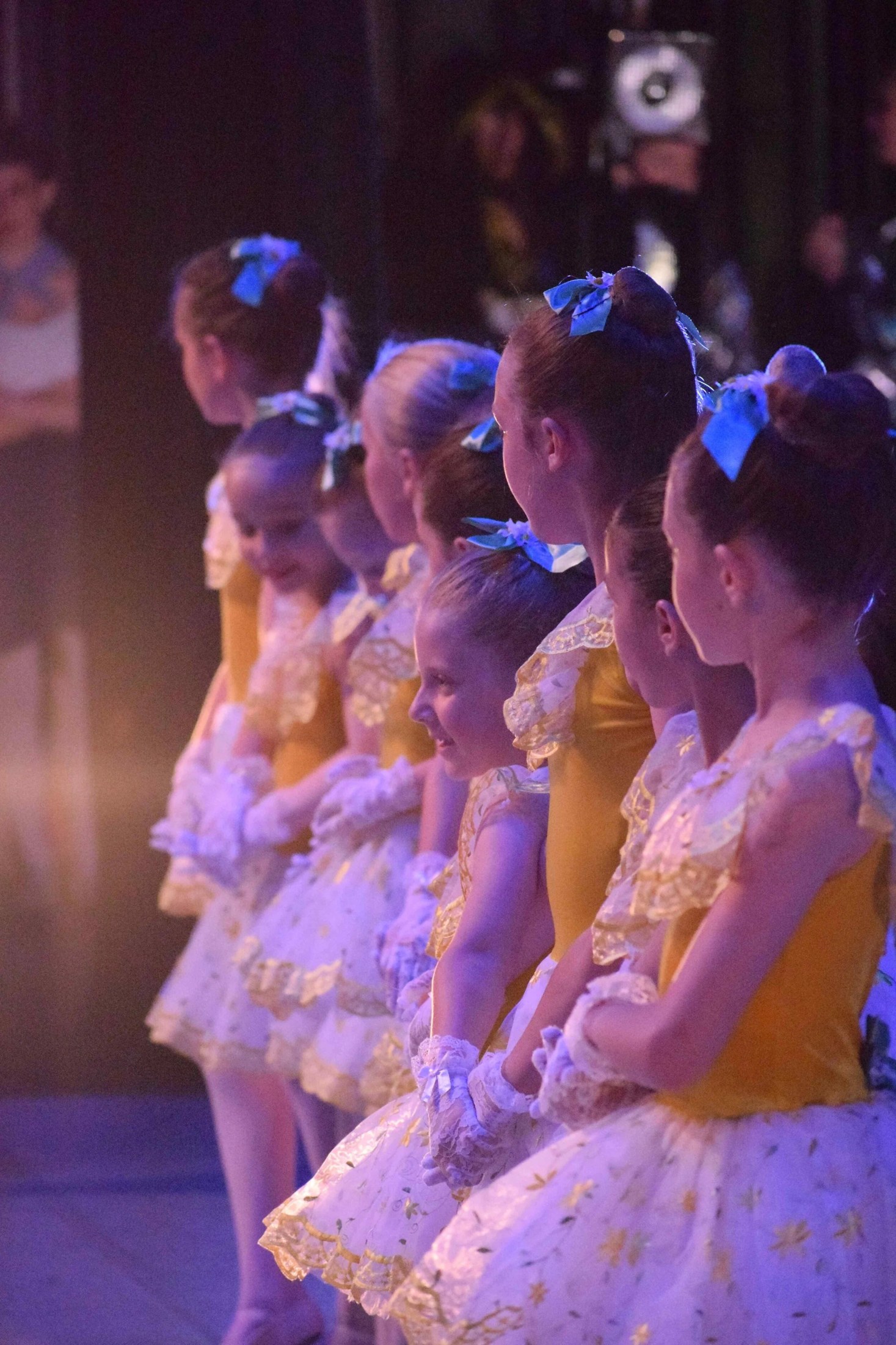 Petaluma School of Ballet Classes
