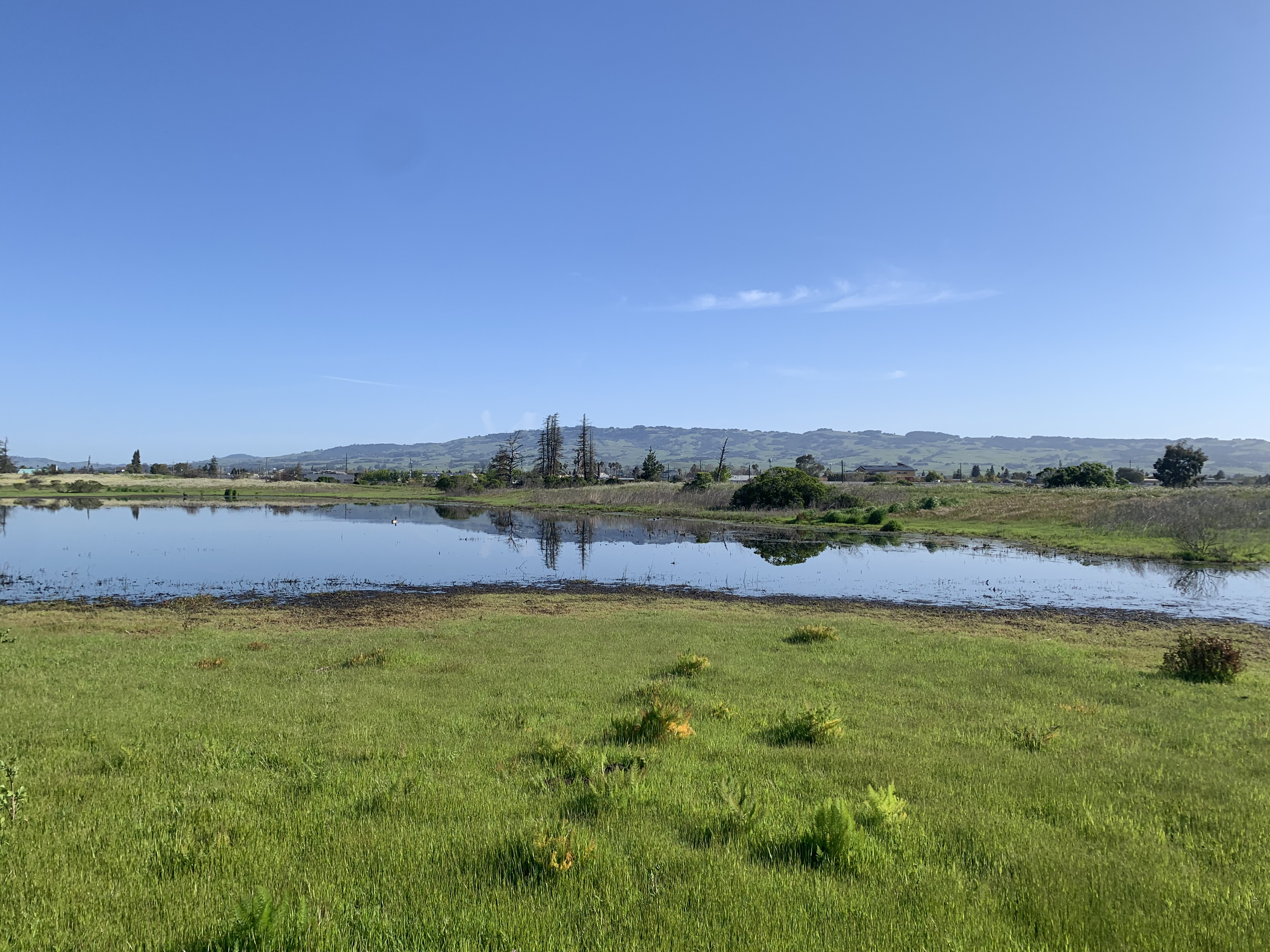 Petaluma River Park photo 3