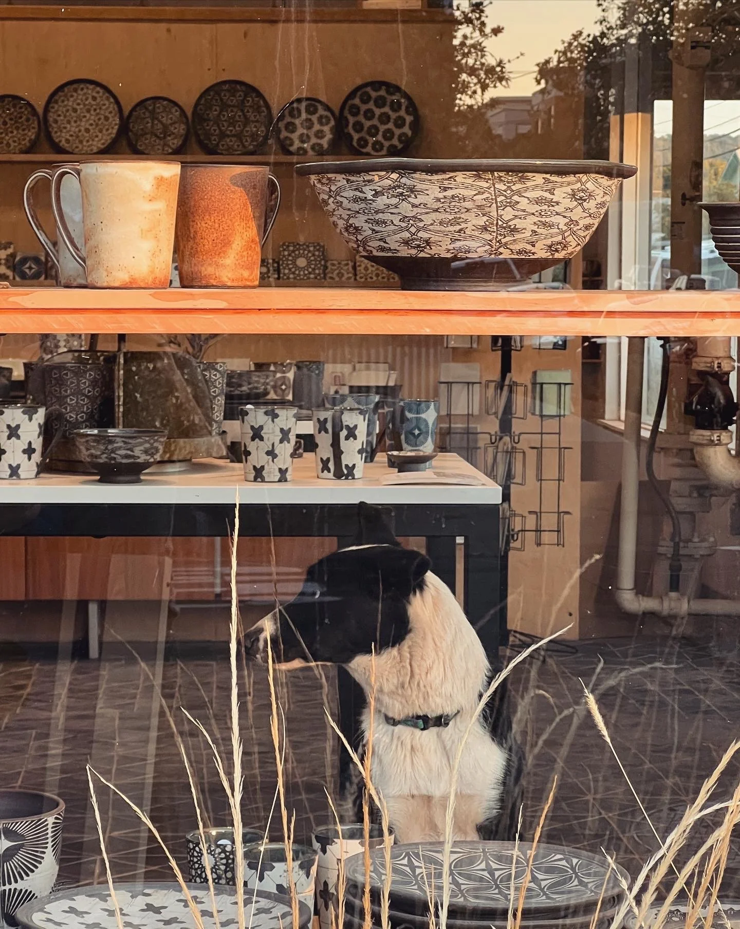 Petaluma Pottery photo 4