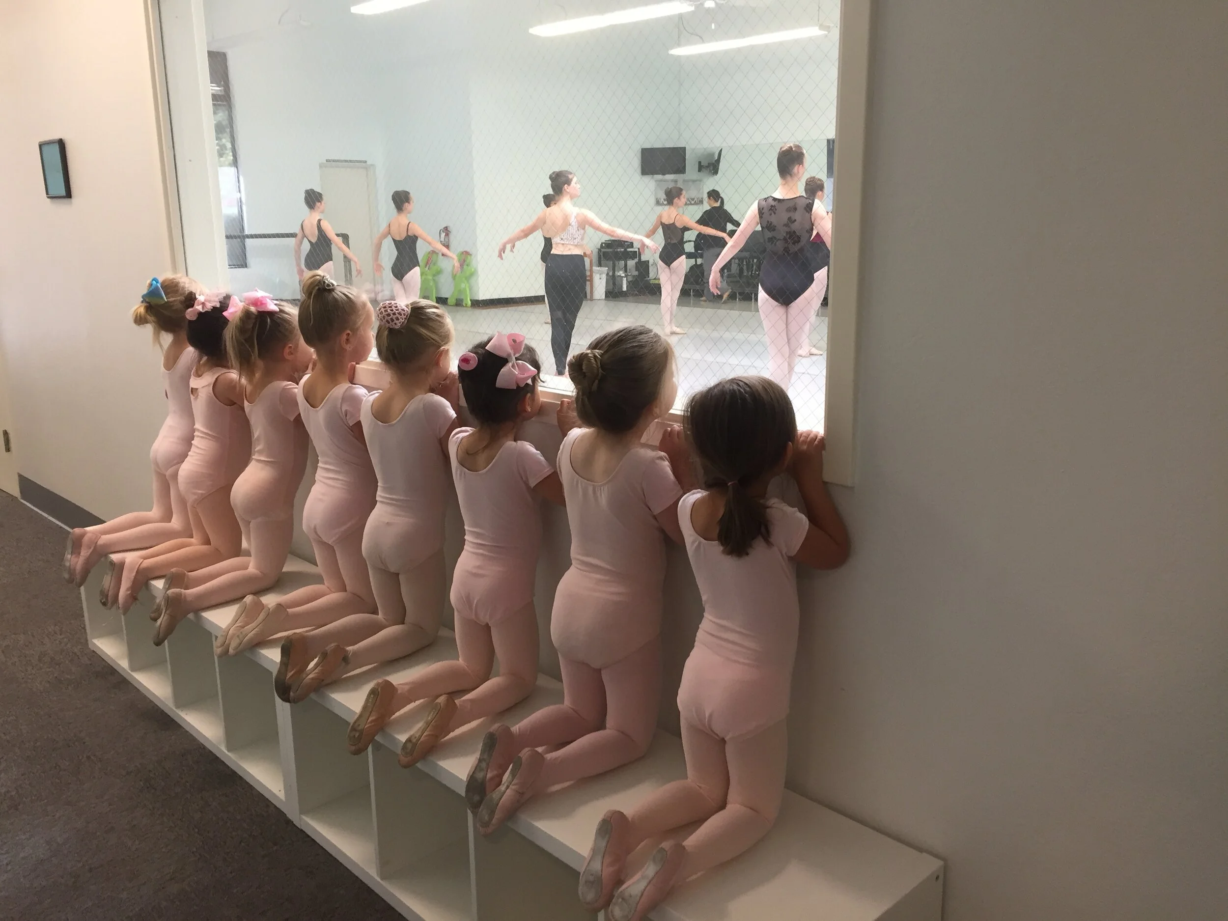 Petaluma School of Ballet Summer Dance