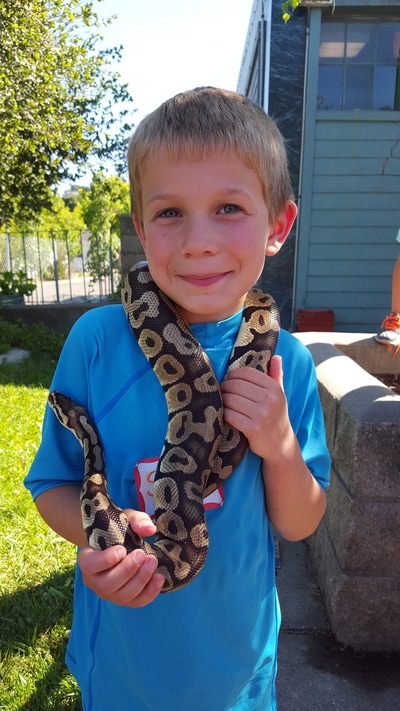 Petaluma Wildlife Museum Summer Camp